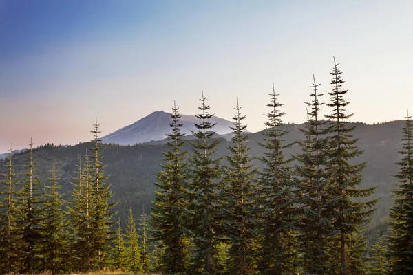 Mount Helens Washington États Unis — Photo