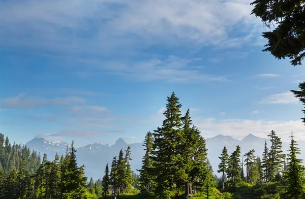 Belo Pico Montanha North Cascade Range Washington Eua — Fotografia de Stock