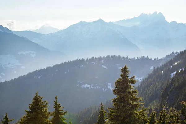 Prachtige Bergtop North Cascade Range Washington Verenigde Staten — Stockfoto