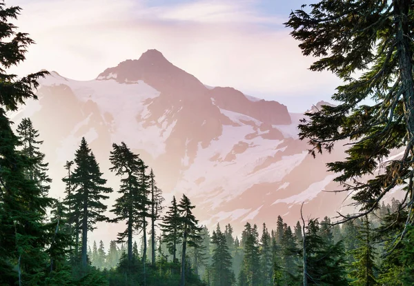 Człowiek Patrząc Piękny Szczyt Mount Shuksan Waszyngtonie Usa — Zdjęcie stockowe