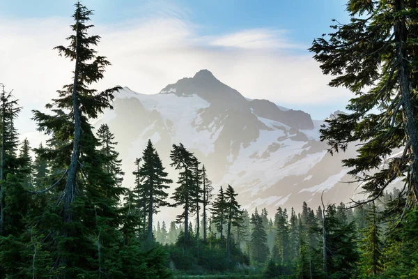 Man Looking Beautiful Peak Mount Shuksan Washington Usa — Stock Photo, Image