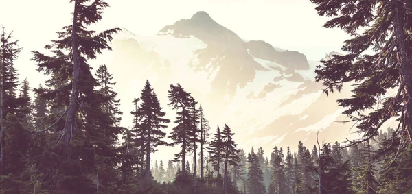 Férfi Keres Gyönyörű Csúcs Mount Shuksan Washingtonban Usa — Stock Fotó
