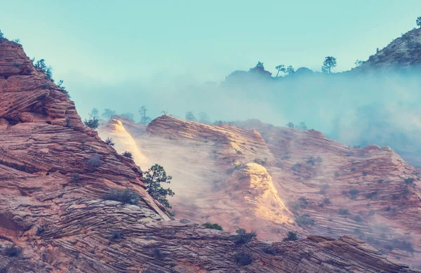 Zion Nationalpark Schöne Uninspirierte Naturlandschaften Gipfel Zion Park Bei Sonnenuntergang — Stockfoto