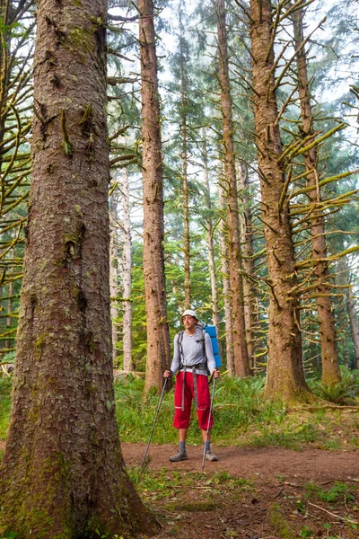 Kleines Mädchen Wandert Auf Dem Waldweg — Stockfoto