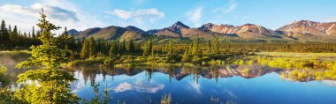 Alaska 'daki Tundra' da huzur gölü