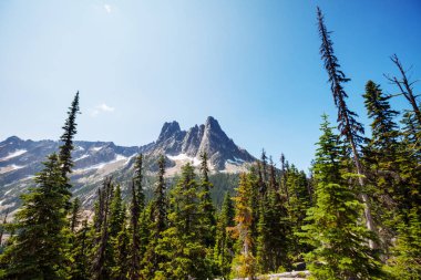 North Cascade Range, Washington / ABD 'de güzel bir dağ zirvesi.