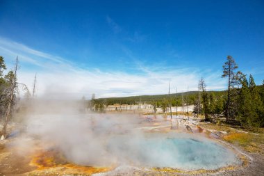 İlham verici doğal bir geçmiş. Yellowstone Ulusal Parkı 'ndaki havuz ve gayzer alanları, ABD.