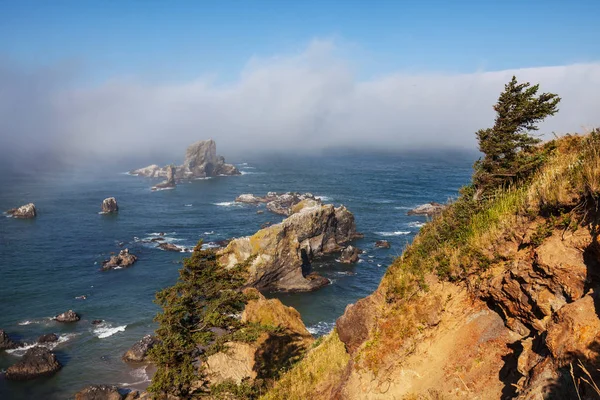 Kanonenstrand Oregonische Küste Vereinigte Staaten — Stockfoto