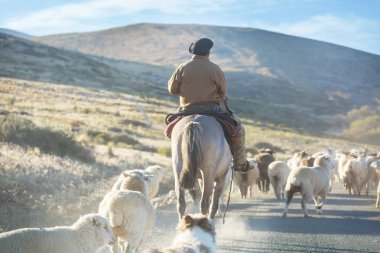 Patagonya dağlarında Keçi Gauchos ahd sürü, Arjantin
