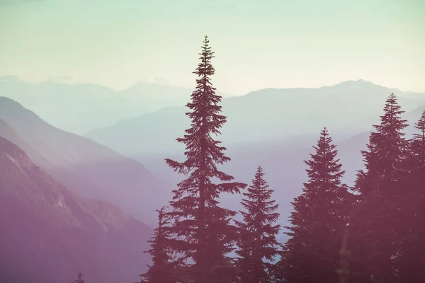 Schöner Natürlicher Hintergrund Neblige Bergsilhouette — Stockfoto