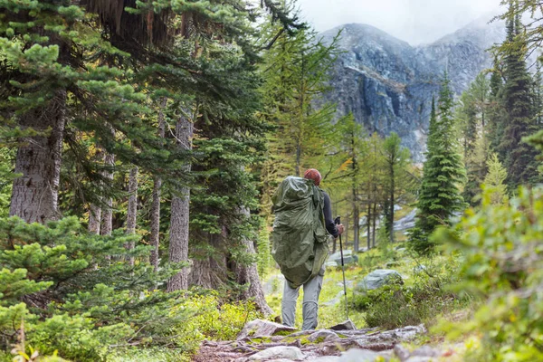 Turista Kanadských Horách Turistika Populární Rekreační Aktivita Severní Americe Spousta — Stock fotografie