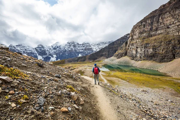 Caminhando Homem Nas Montanhas Canadenses Caminhada Atividade Recreação Popular América — Fotografia de Stock