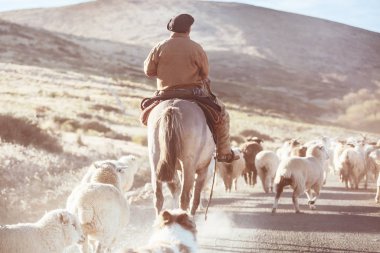 Patagonya dağlarında Keçi Gauchos ahd sürü, Arjantin