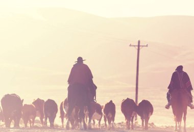 Patagonya dağlarında Keçi Gauchos ahd sürü, Arjantin