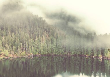 Yaz mevsiminde dağlarda huzur gölü. Güzel doğal manzaralar..