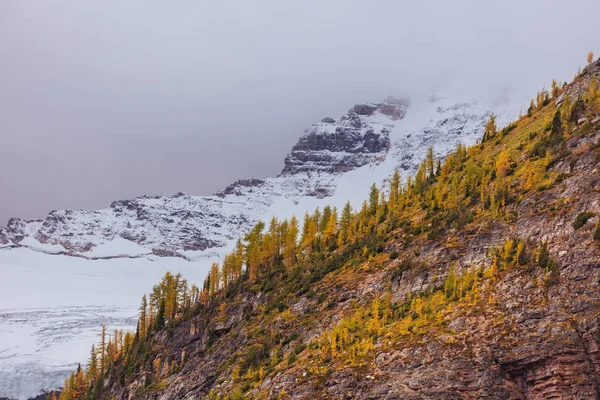 カナダの山々で美しい秋の季節 秋の背景 — ストック写真