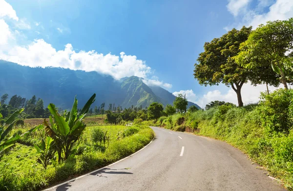 Paysages Tropicaux Verts Sur Île Java Indonésie — Photo