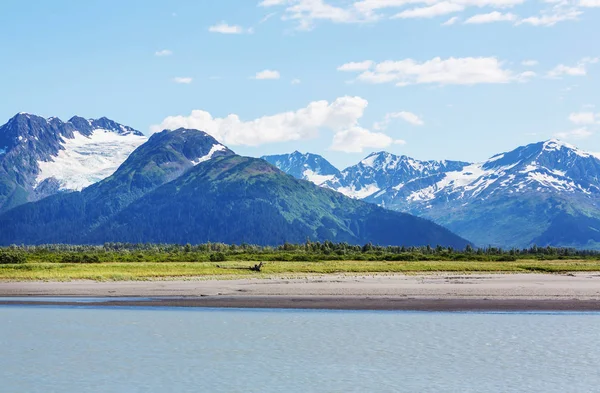 夏にアラスカの絵のような山 雪に覆われた大規模な氷河や岩のピーク — ストック写真