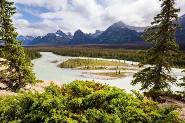 Vista Panorâmica Rio Athabasca Parque Nacional Jasper Alberta Canadá — Fotografia de Stock