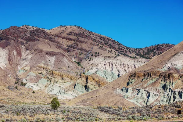 アメリカの砂漠の美しい風景 — ストック写真