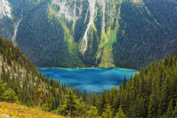 Bela Temporada Outono Nas Montanhas Canadenses Fundo Queda — Fotografia de Stock