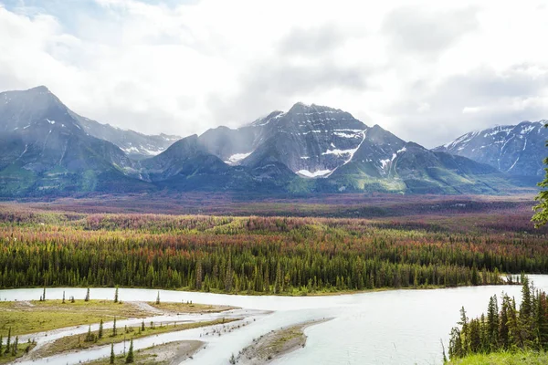 Scénický Výhled Řeku Athabasca Národní Park Jasper Alberta Kanada — Stock fotografie