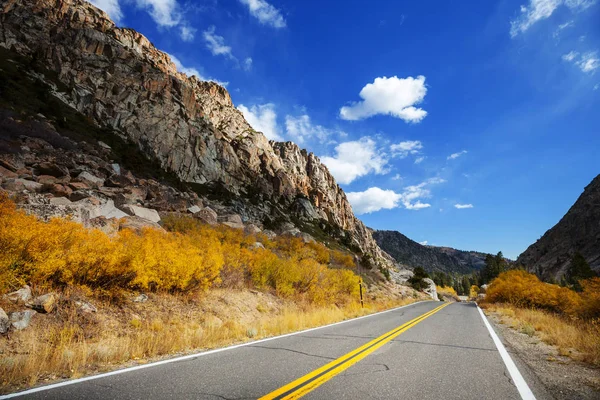 Scène Automne Colorée Sur Route Campagne Dans Forêt — Photo