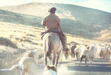 Patagonya dağlarında Keçi Gauchos ahd sürü, Arjantin