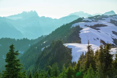 North Cascade Range, Washington / ABD 'de güzel bir dağ zirvesi.