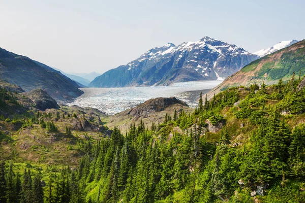 Vista Pitoresca Montanha Nas Montanhas Rochosas Canadenses Temporada Verão — Fotografia de Stock