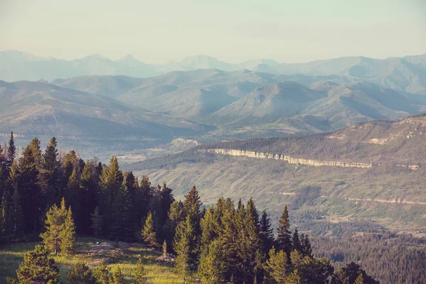 Pintoresco Paisaje Montaña Día Lluvioso Verano Bueno Para Fondo Natural — Foto de Stock