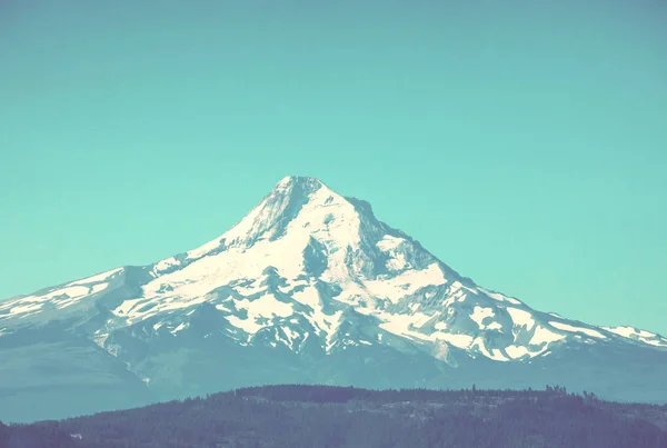 Montar Capucha Oregon Estados Unidos — Foto de Stock