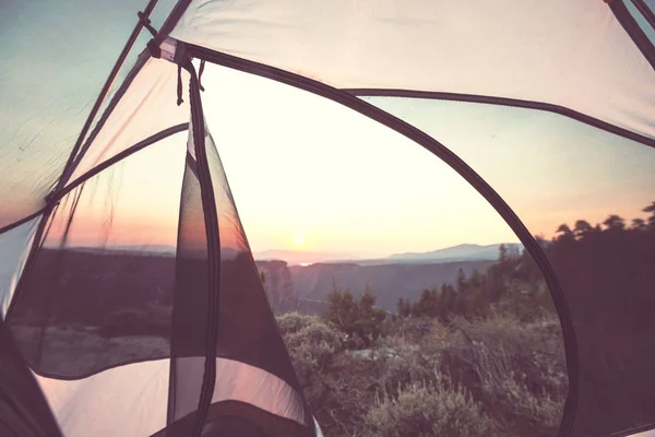 Tenda Escursionistica Montagna Baker Recreation Area Washington Usa — Foto Stock