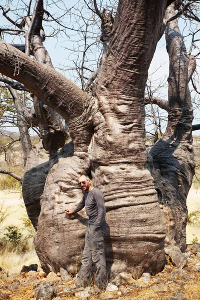 Tourist Big Baobab Tree Namibia Africa — Stock Photo, Image