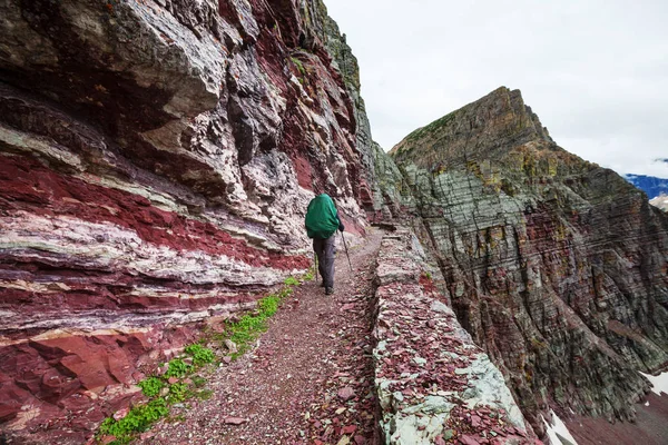 Wandelen Het Glacier National Park Montana — Stockfoto