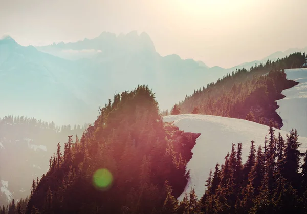 Magnifique Sommet Montagneux Dans Chaîne Des Cascades Nord Washington Usa — Photo