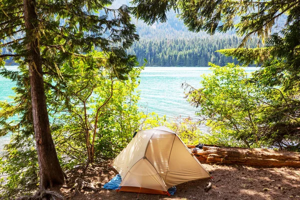 Tente Randonnée Dans Les Montagnes Baker Recreation Area Washington États — Photo