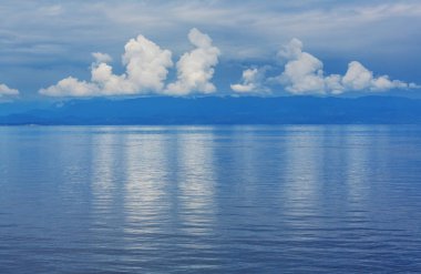 Vancouver Adası. Kanada mı? Yaz mevsiminin güneşli güzel günü.