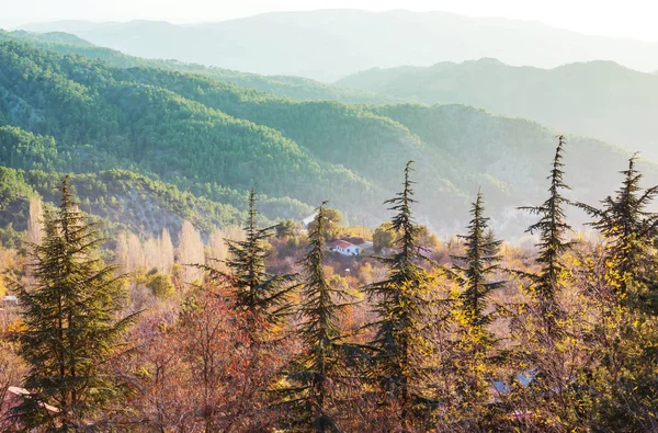 Berg Silhuett Cypern Dimmig Morgon — Stockfoto