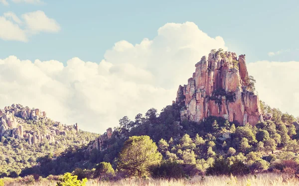 Jungle Mountains Rainy Season Mexico — Stock Photo, Image