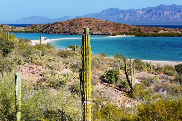 Paisagens Belíssimas Baja California México Fundo Viagem Conceito — Fotografia de Stock