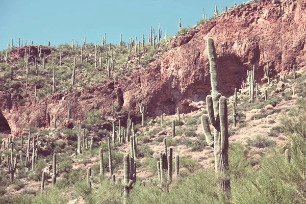 Paisajes Sobre Las Afueras Tucson — Foto de Stock