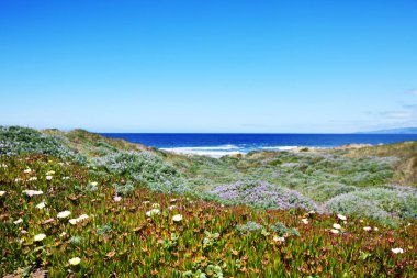 Oregon 'da Pasifik Sahili, Usa