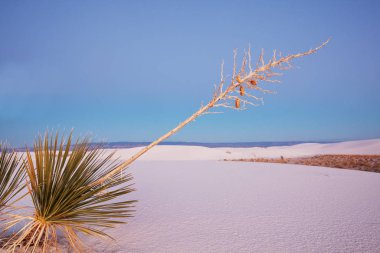 New Mexico, ABD 'deki White Sands Dunes