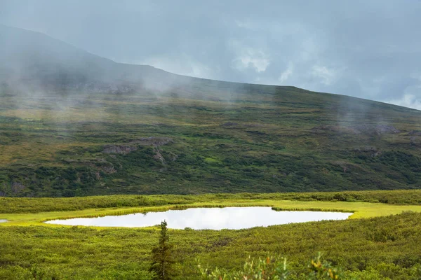 Montagne Pittoresche Dell Alaska Estate Massiccio Innevato Ghiacciai Cime Rocciose — Foto Stock