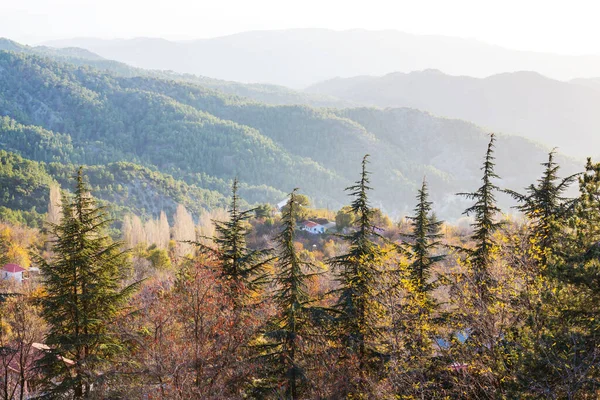 Berg Silhuett Cypern Dimmig Morgon — Stockfoto