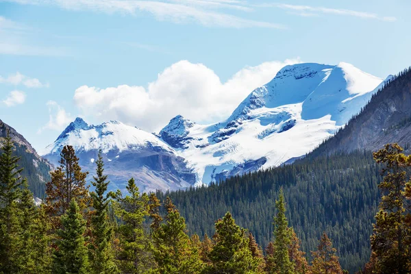 Picturesque Mountain View Canadian Rockies Summer Season — Stok Foto