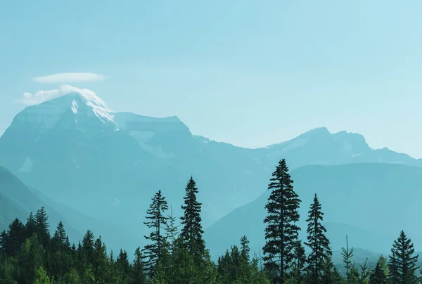 Kanada Yaz Mevsiminde Güzel Mount Robson — Stok fotoğraf