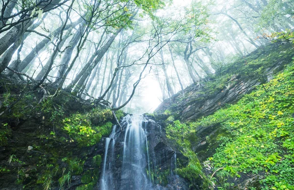 Bella Cascata Cile Sud America — Foto Stock