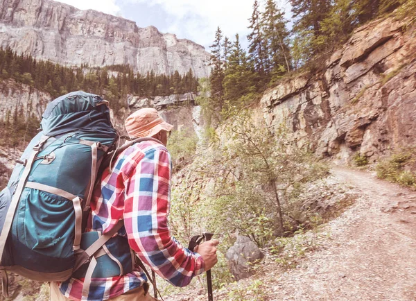 Randonneur Dans Les Montagnes Canadiennes Randonnée Est Activité Récréative Populaire — Photo